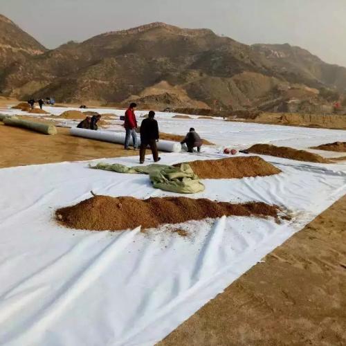 养护榴莲视频免费下载价格