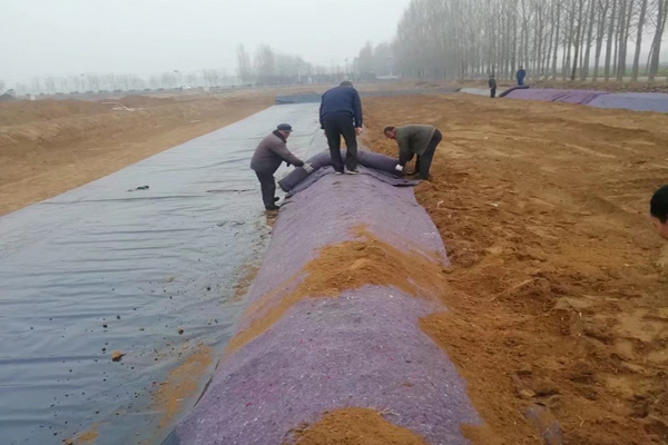 榴莲视频免费下载在雨季铺设的注意事项
