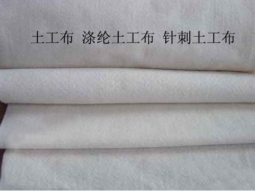 涤沦榴莲视频免费下载