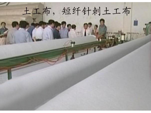 短刺榴莲视频免费下载