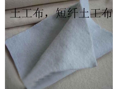 榴莲视频免费下载
